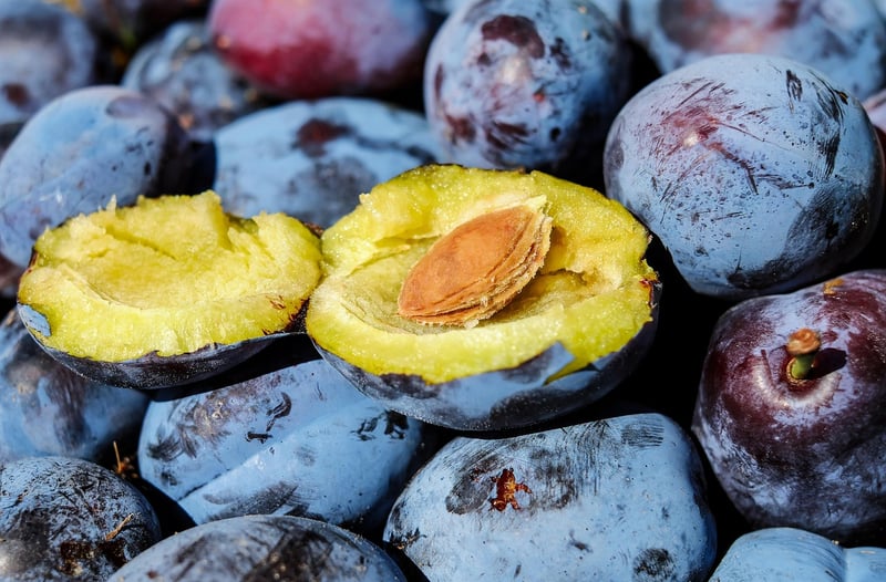 Fruit Gathering